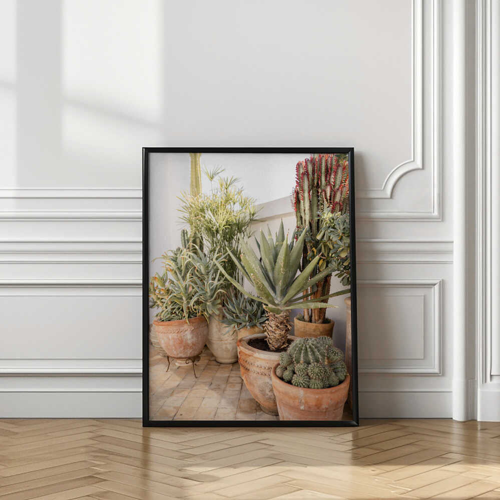 Garden with Various Potted Succulents and Cacti Poster