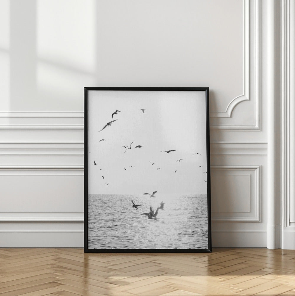 Seagulls At Sea Poster