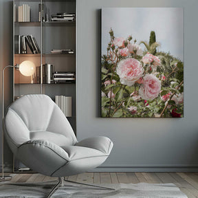 Garden Roses Poster
