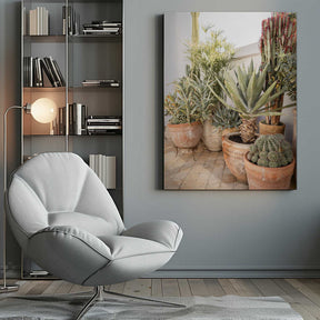 Garden with Various Potted Succulents and Cacti Poster