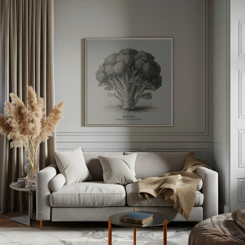 Vintage Vegetables - Broccoli Poster