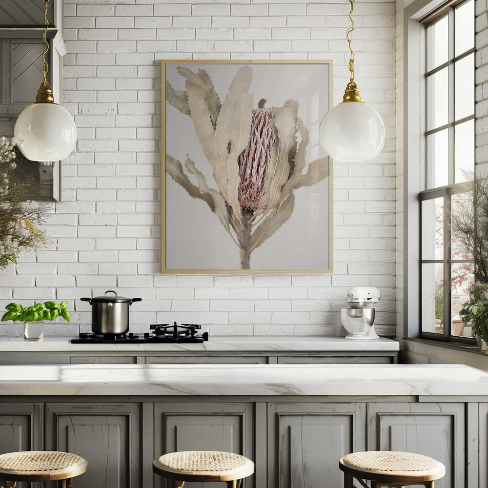 Banksia Poster