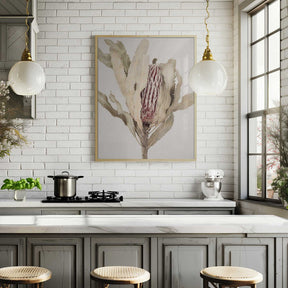 Banksia Poster