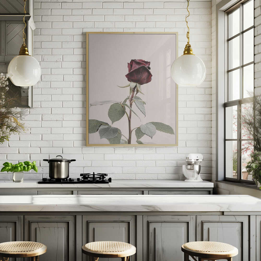 Rose Poster