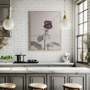Rose Poster