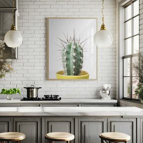 Spikey Cactus Poster