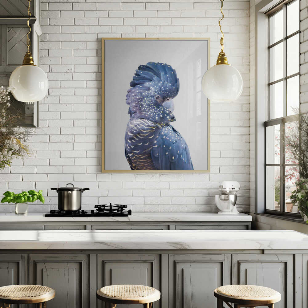 Black Cockatoo Poster