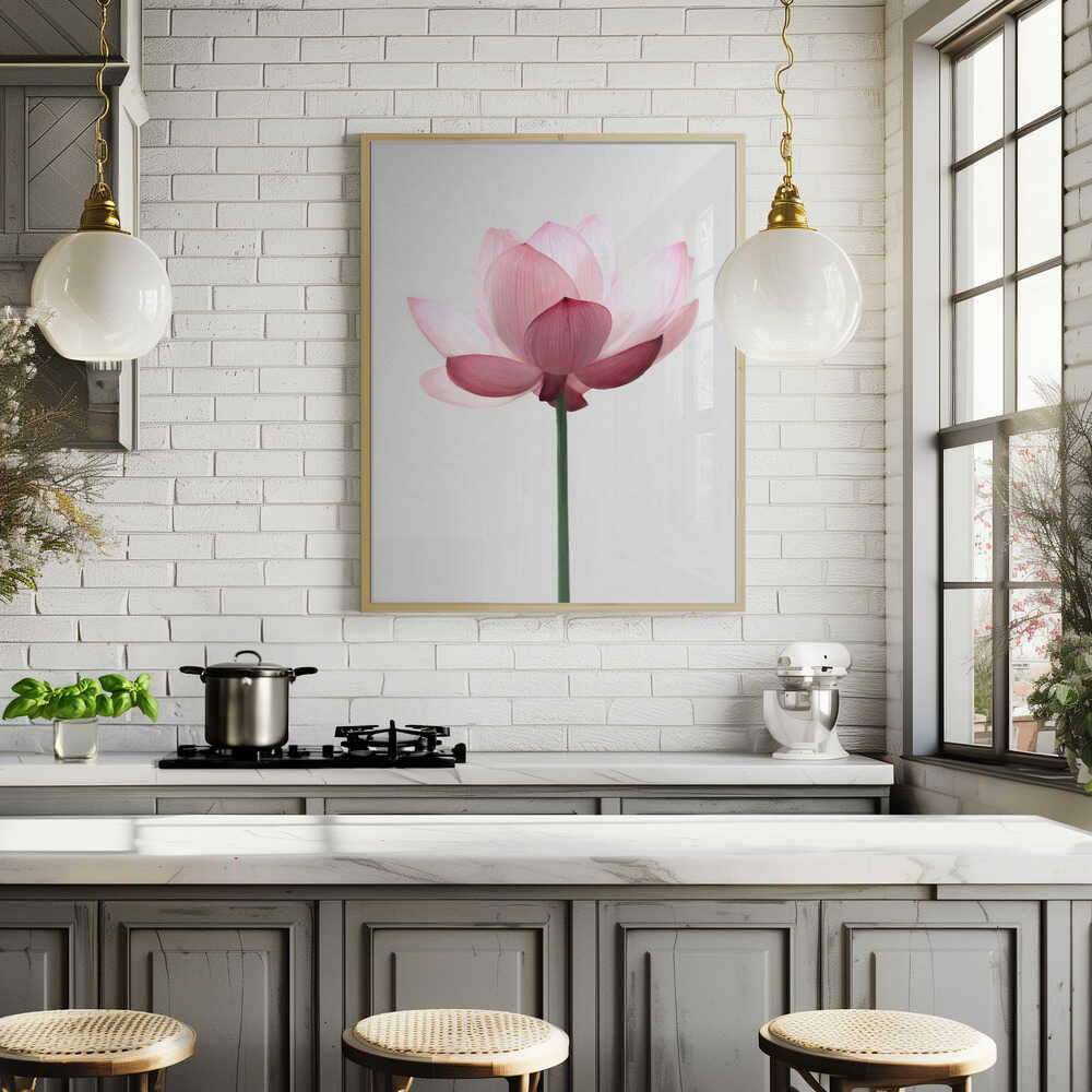 Lotus Flower Poster