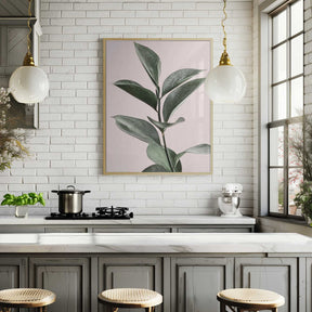Foliage on Pink Poster