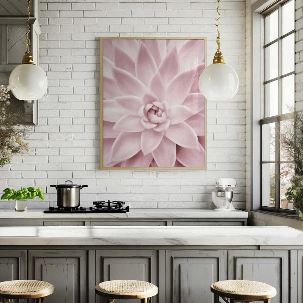 Pink Succulent Poster