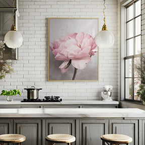 Peony Poster