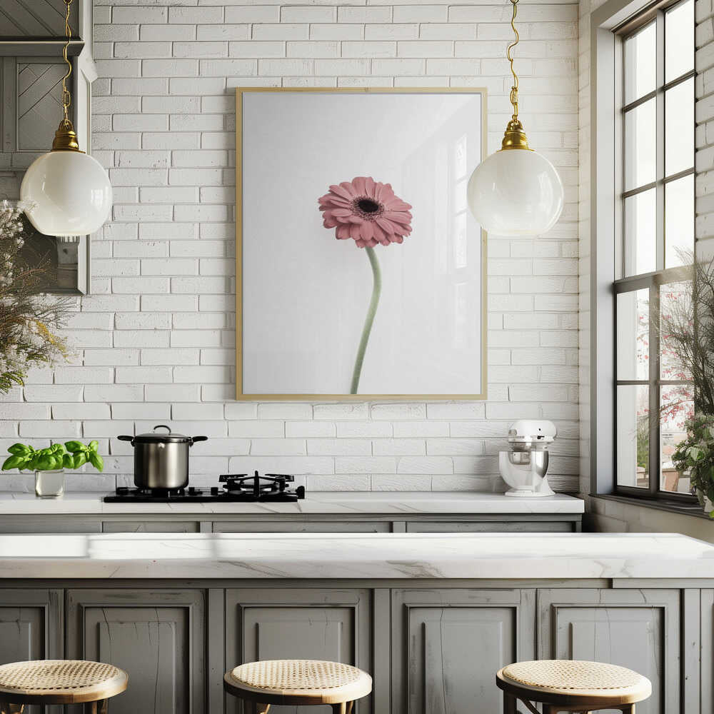 Pink Gerbera Poster