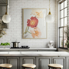 Poppies Poster