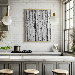 Birches Poster