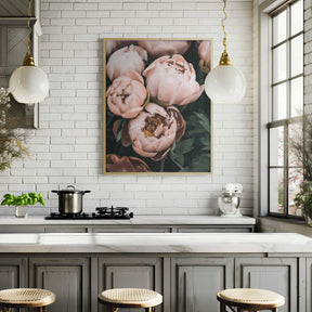 Coral Peonies Poster