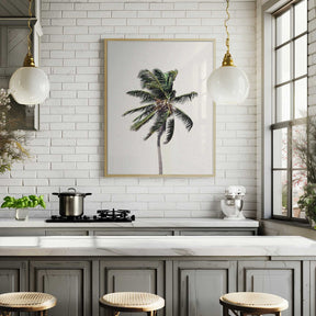 Windy Palm Tree Poster
