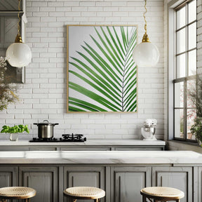 Green Palm Leaf Poster