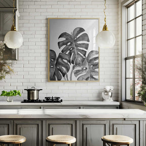 Monstera leaves in loose watercolor bw Poster