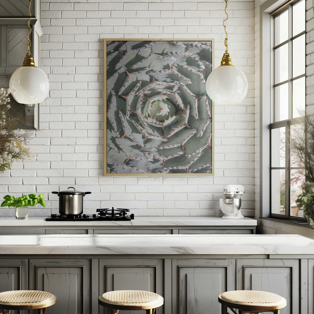 Spiral Succulent Maze Poster