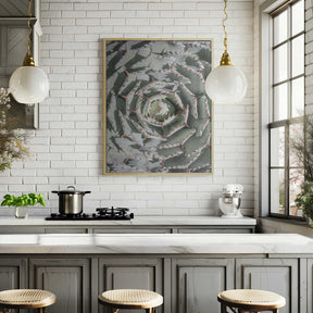 Spiral Succulent Maze Poster