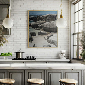 Penguin Cove Serenity Poster