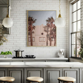 Palm Shadows Poster