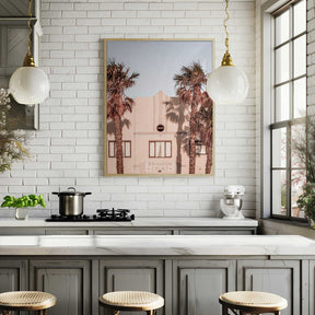 Palm Shadows Poster