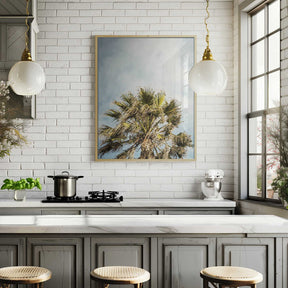 Sunlit Fronds Poster