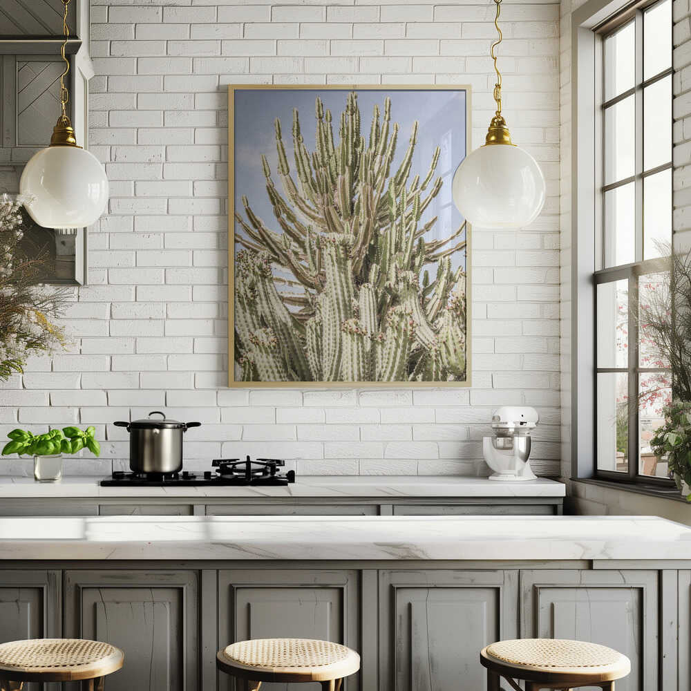 Cactus Symphony Poster