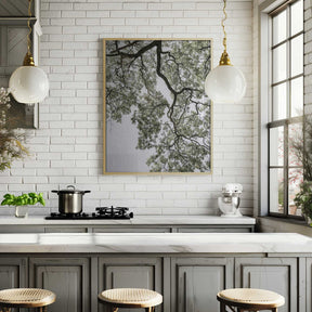 Ethereal Canopy Poster