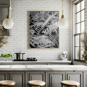 Whispering Ferns Poster