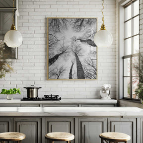 Reaching Branches Poster