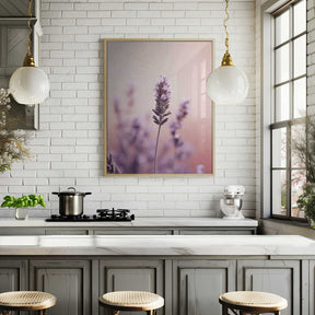 Lavender Serenity Poster