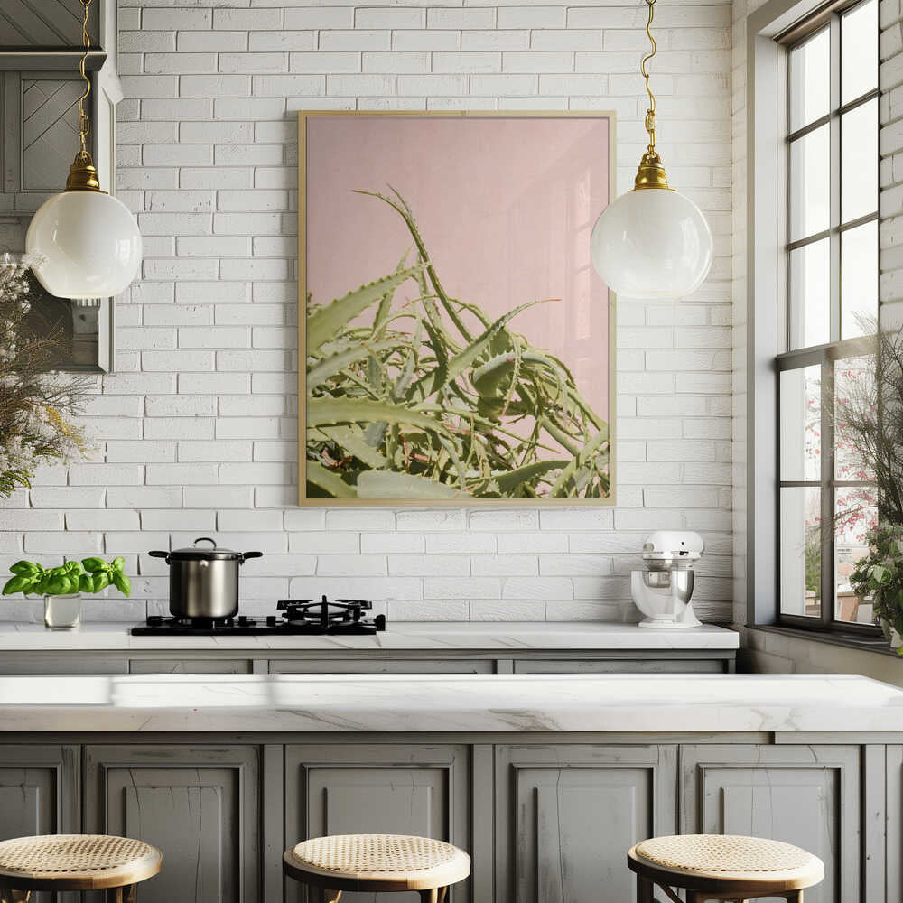 Cacti on Pink Poster