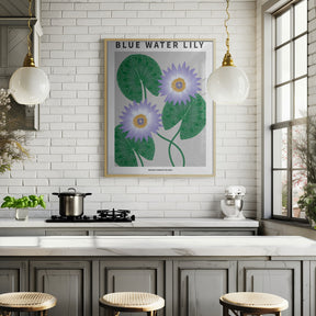 Blue Water Lily - National flower of Sri Lanka Poster