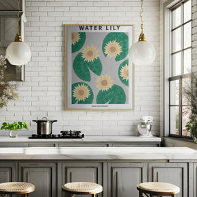 Water lily - National flower of Bangladesh Poster