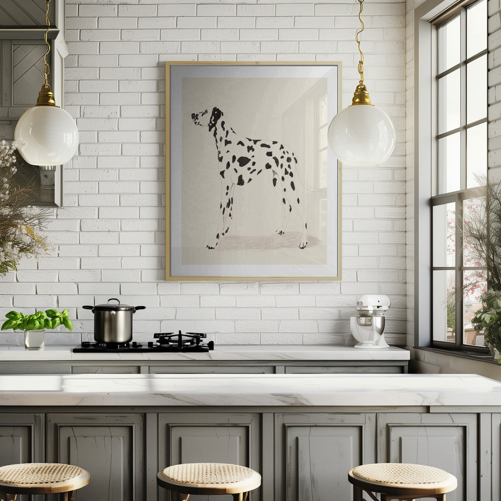 Pandc Dalmation Poster