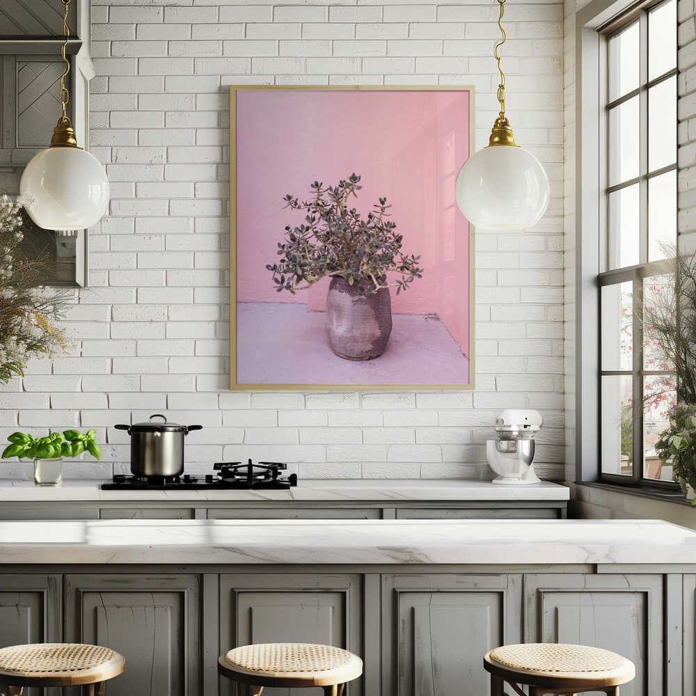 Spanish Rustic Succulent Poster