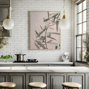 Olives Poster