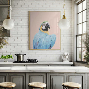Blue Macaw Poster