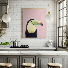 Toucan on Pink Poster