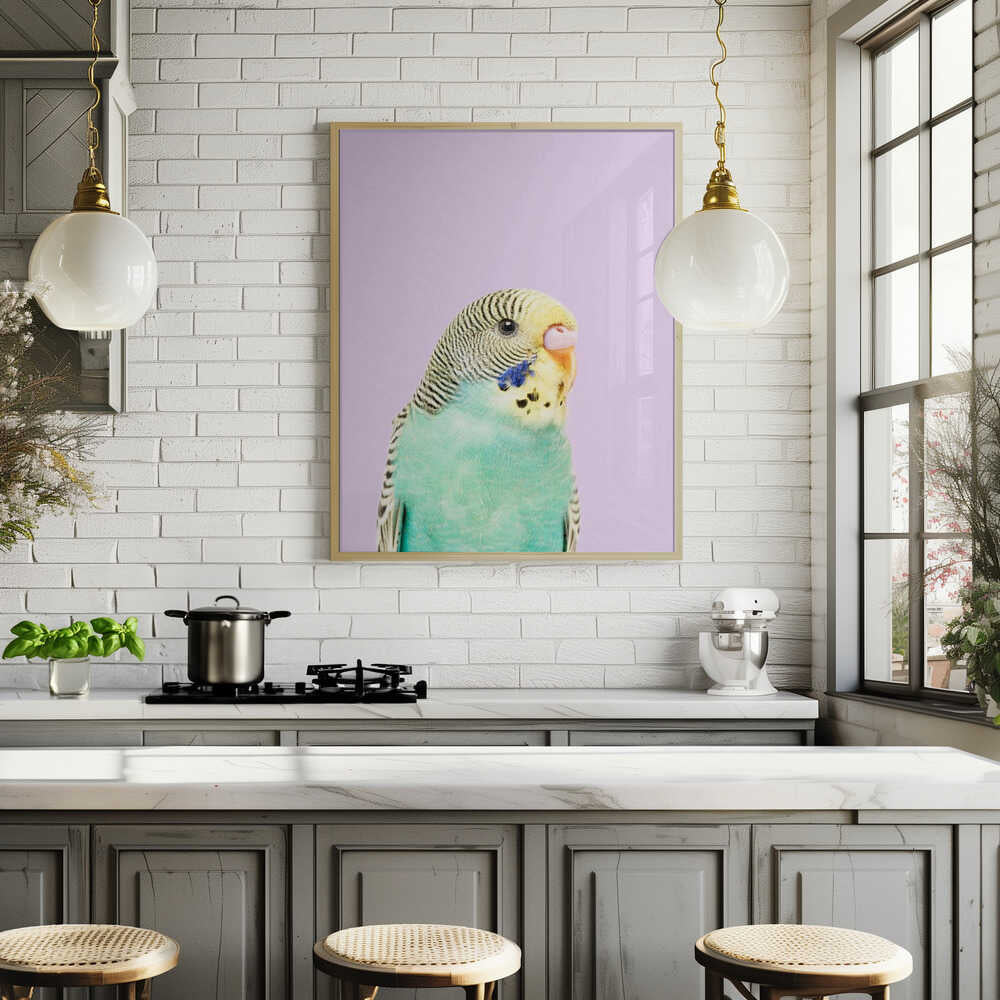 Badgie Poster