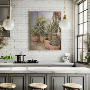 Garden with Various Potted Succulents and Cacti Poster