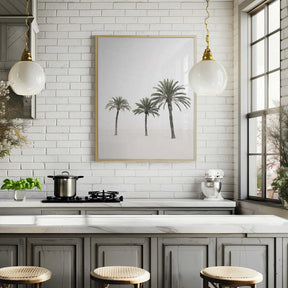 Palms Poster