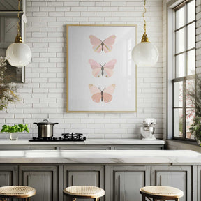 Butterfly 4 Poster