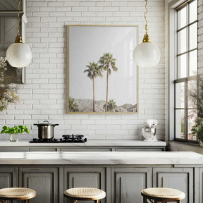 Palm Springs Palms Poster