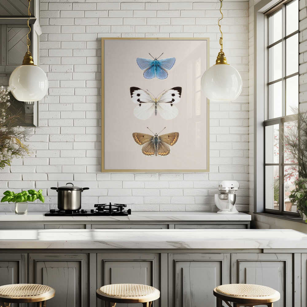 English Butterlies 2 Poster