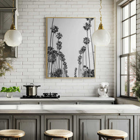 Palm Alley Poster
