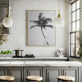 Palm Surfboard Poster