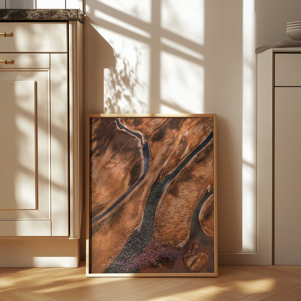 Flying over Palette Poster